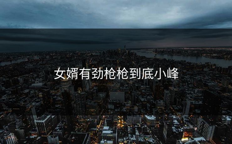 女婿有劲枪枪到底小峰