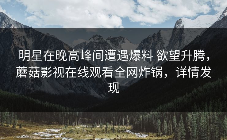 明星在晚高峰间遭遇爆料 欲望升腾，蘑菇影视在线观看全网炸锅，详情发现