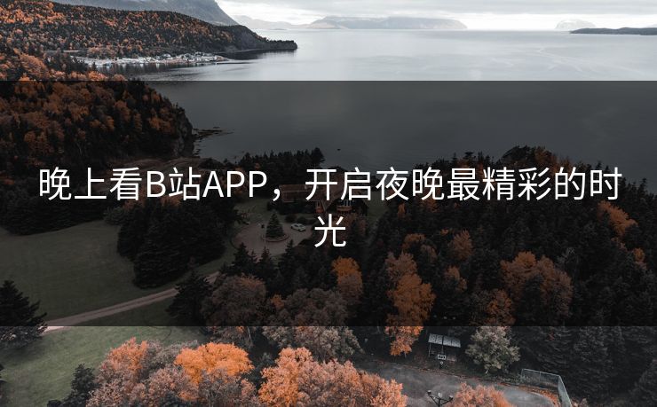 晚上看B站APP,开启夜晚最精彩的时光 晚上看B站APP,开启夜晚最精彩的时光