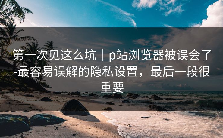 第一次见这么坑｜p站浏览器被误会了-最容易误解的隐私设置，最后一段很重要