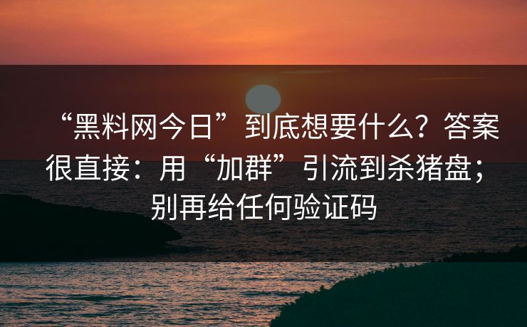 “黑料网今日”到底想要什么？答案很直接：用“加群”引流到杀猪盘；别再给任何验证码